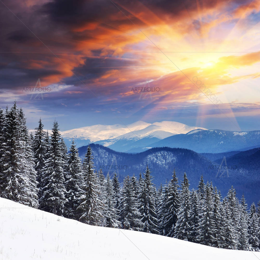 Winter Landscape Ukraine, Carpathians — custom-size art design 5000928