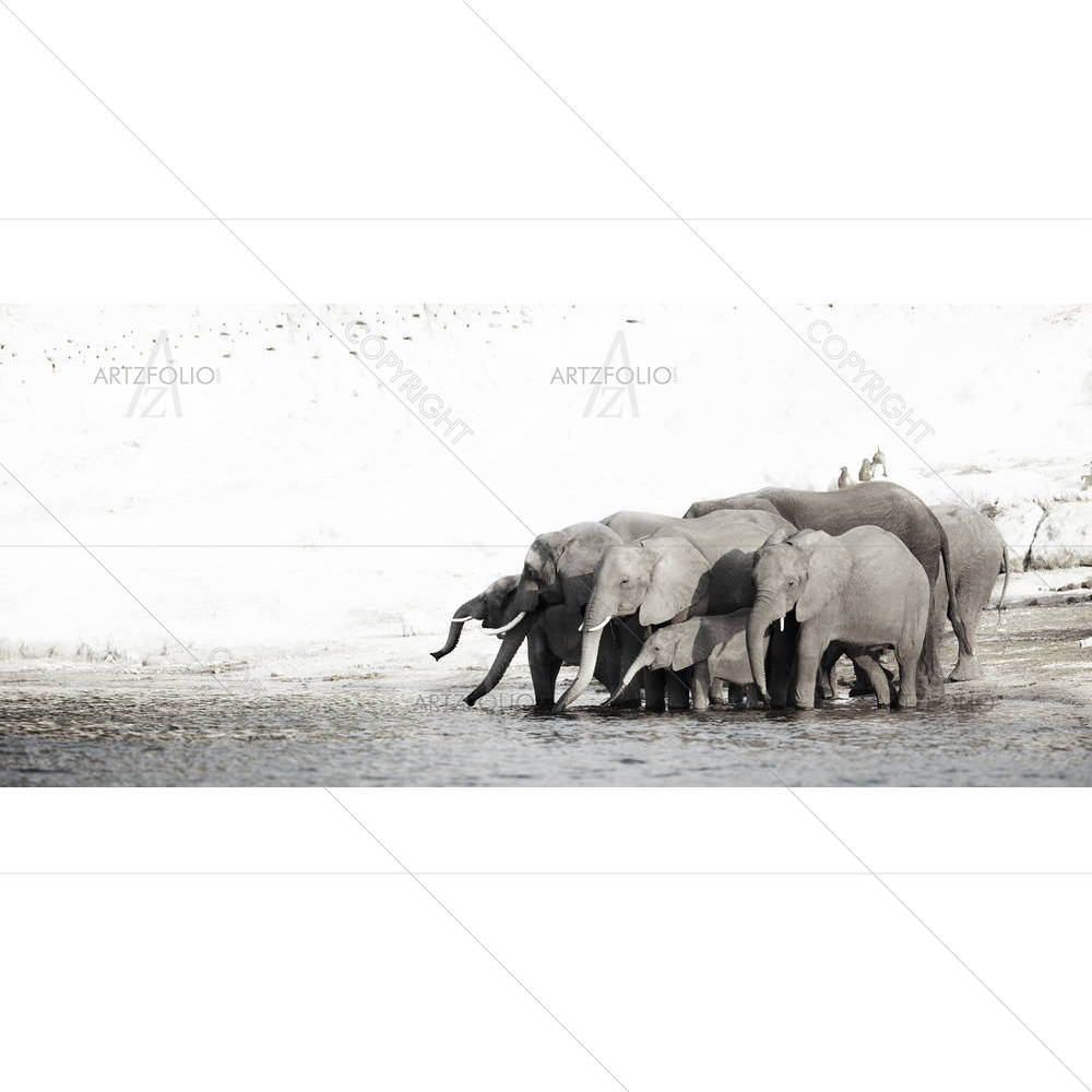A Herd Of African Elephants — custom-size art design 5000955