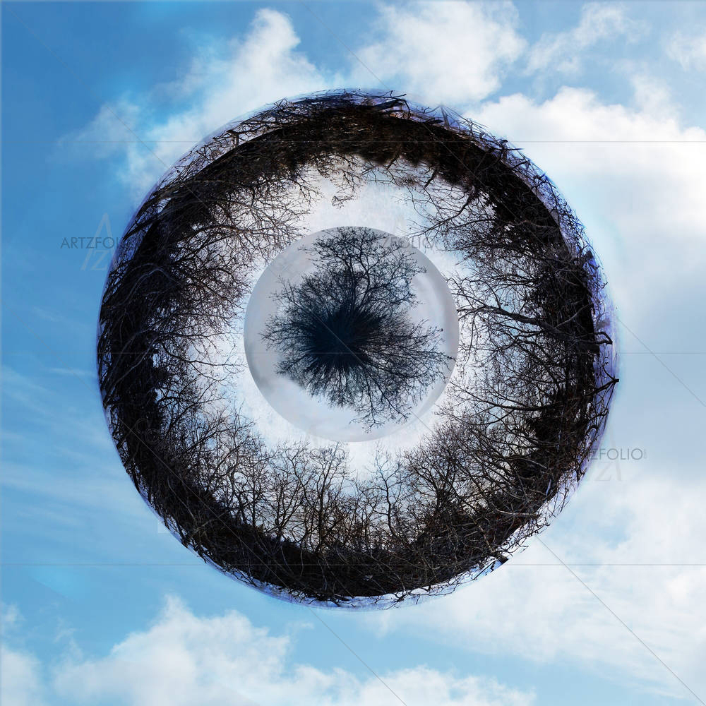 Fantasy Eye Of Tree Branches — custom-size art design 5000979