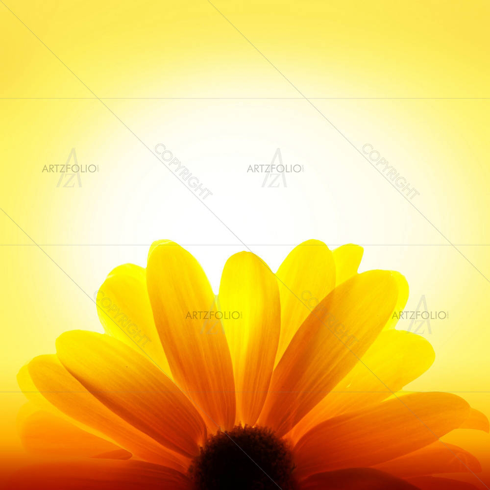 Sunflower D4 — Botanical custom art by ArtzFolio