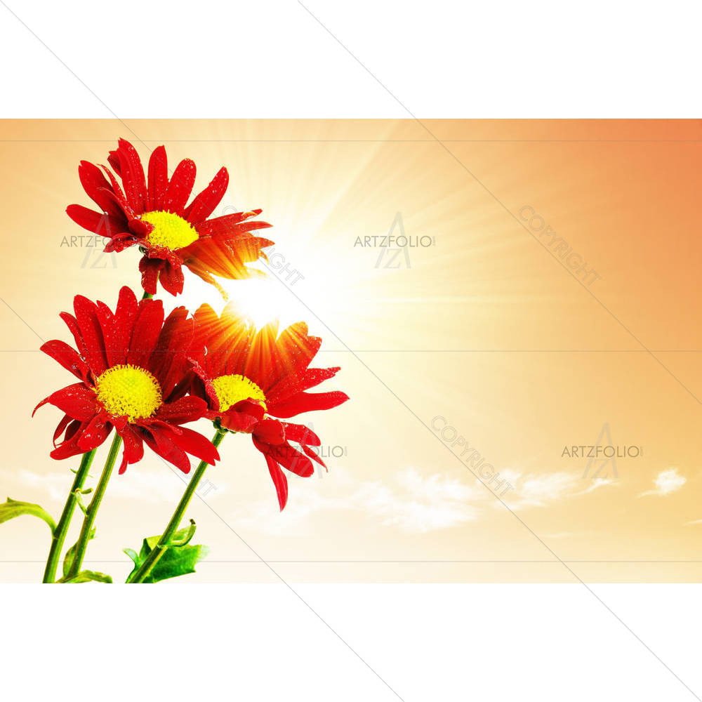 Three Red Flowers — custom-size art design 5000988