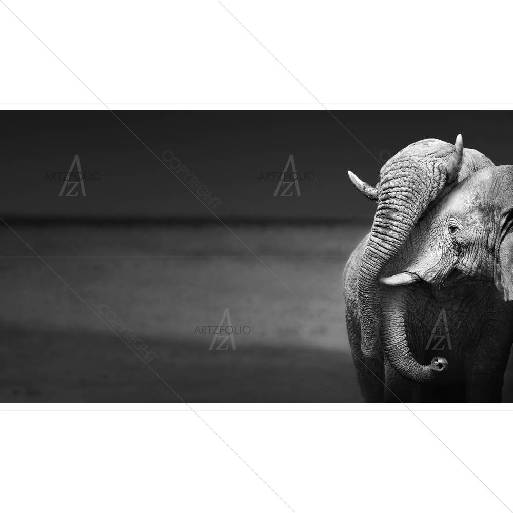 Elephants Interacting — custom-size art design 5001015