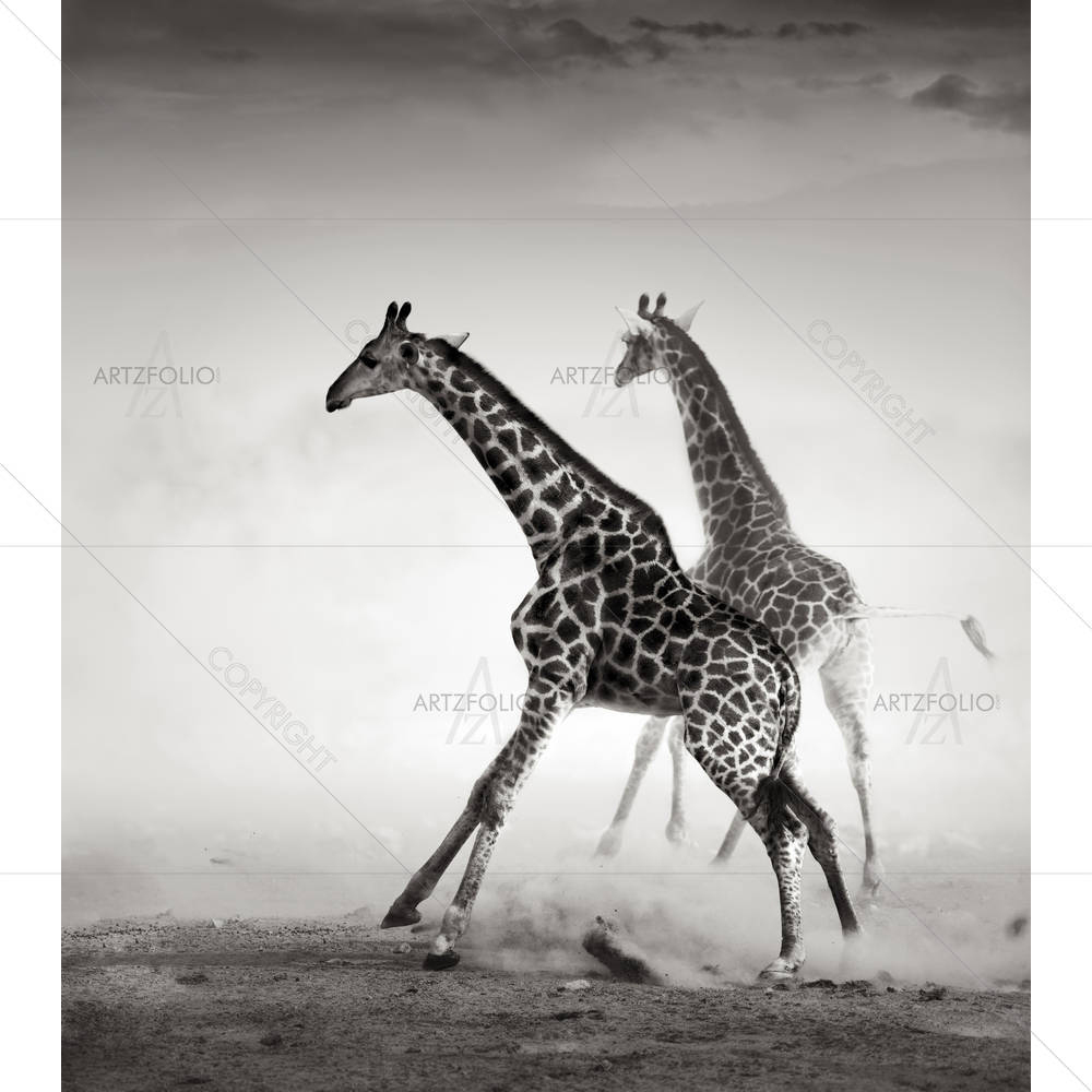 Giraffes On The Run — custom-size art design 5001016