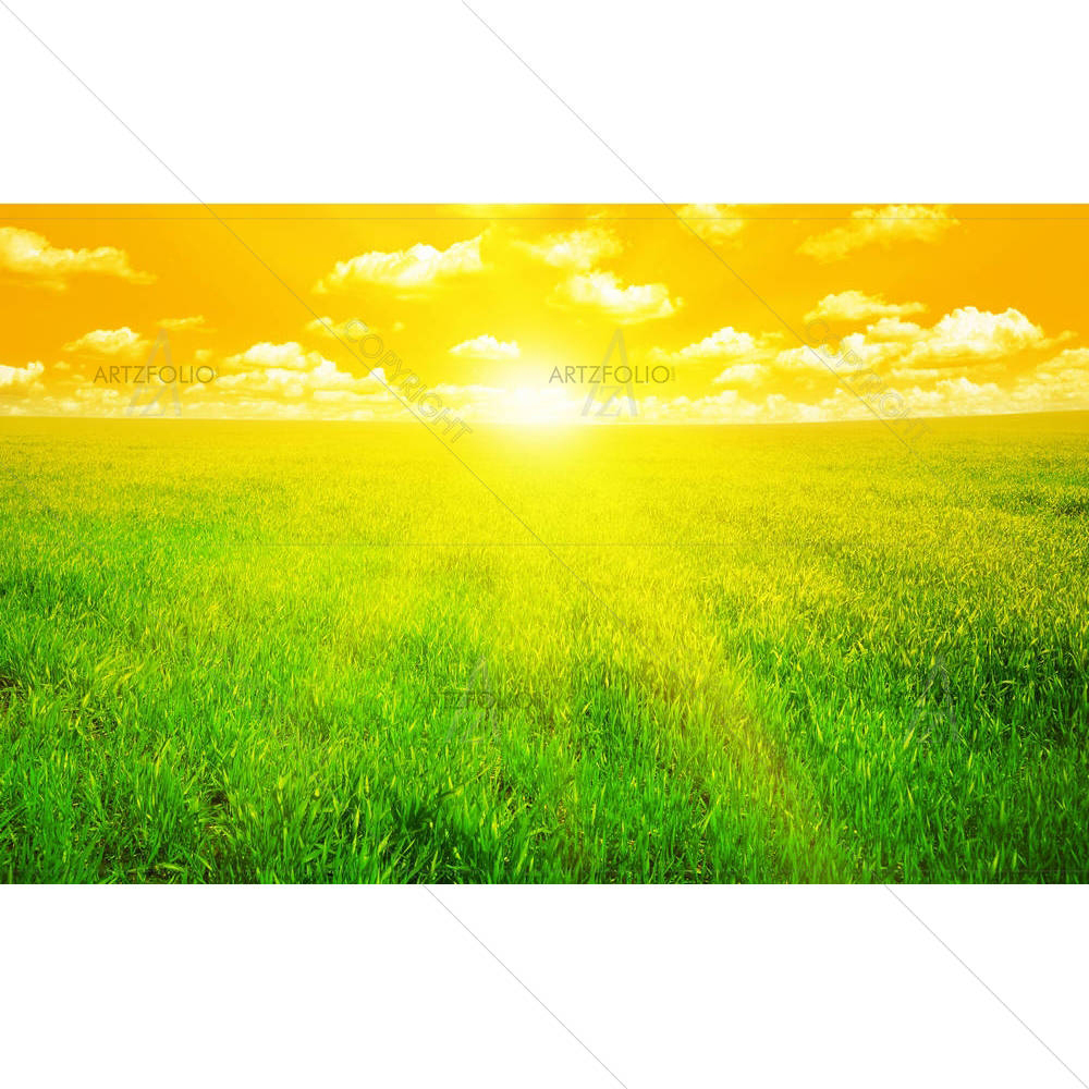 Sunset On A Spring Field — custom-size art design 5001021
