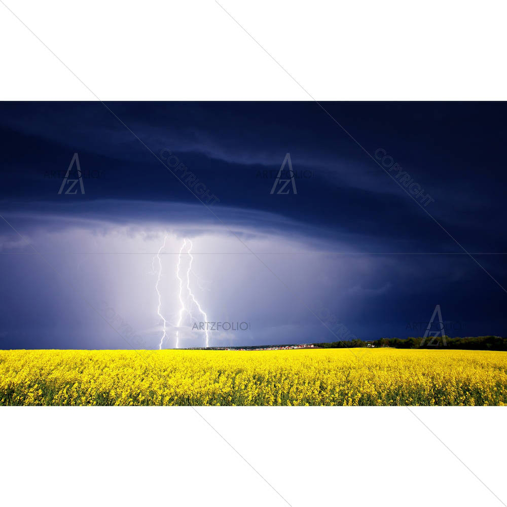 Summer Storm D1 — custom-size art design 5001023