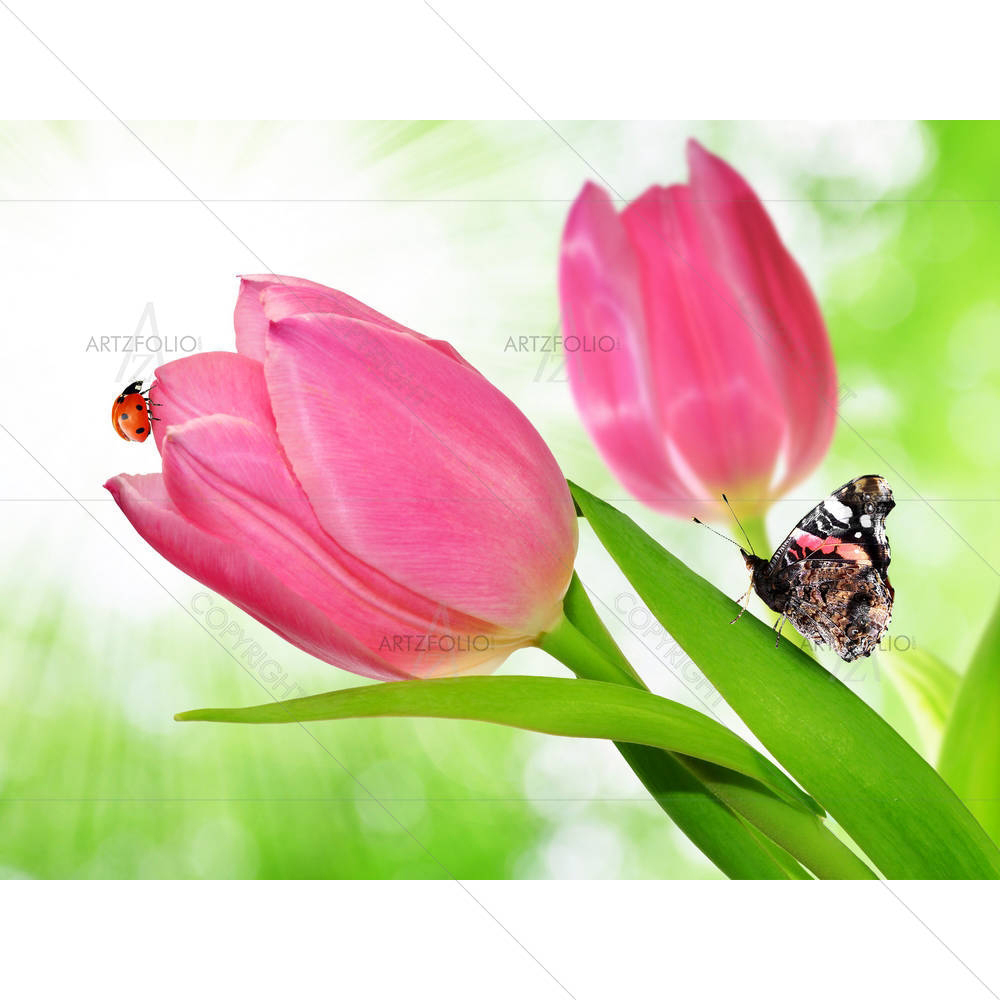 Tulip With Butterfly & Ladybug — Botanical custom art by ArtzFolio
