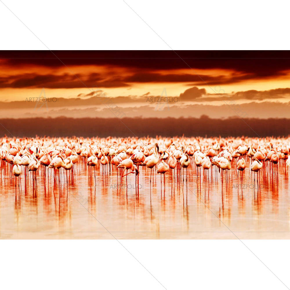 African Flamingos — custom-size art design 5001088