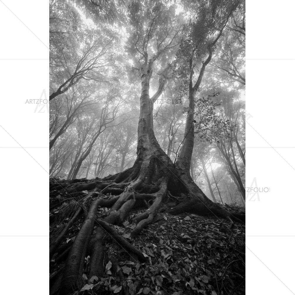 Wet Roots — Fantasy custom art by ArtzFolio
