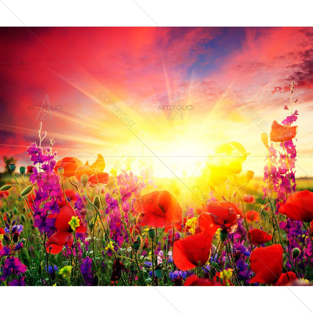 Summer Landscape With A Field Of Red Poppies — custom-size art design 5001118