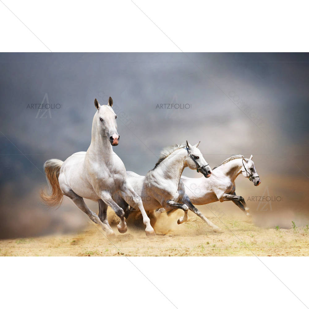 White Horses D4 — custom-size art design 5001143