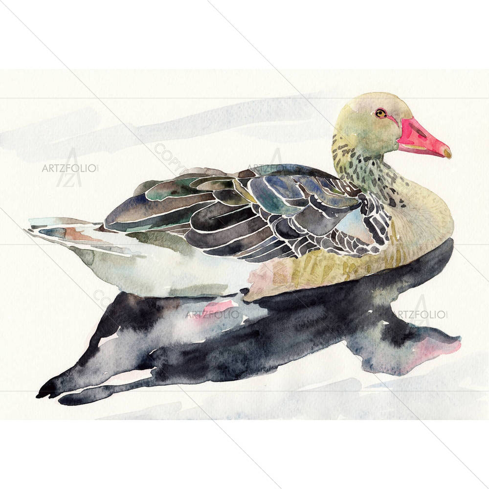 Watercolor Bird Duck — Animals custom art by ArtzFolio