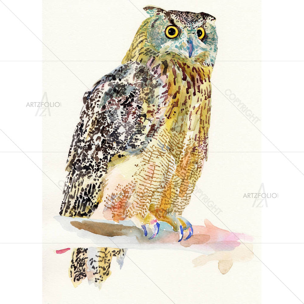 Owl on a Branch — custom-size art design 5001148