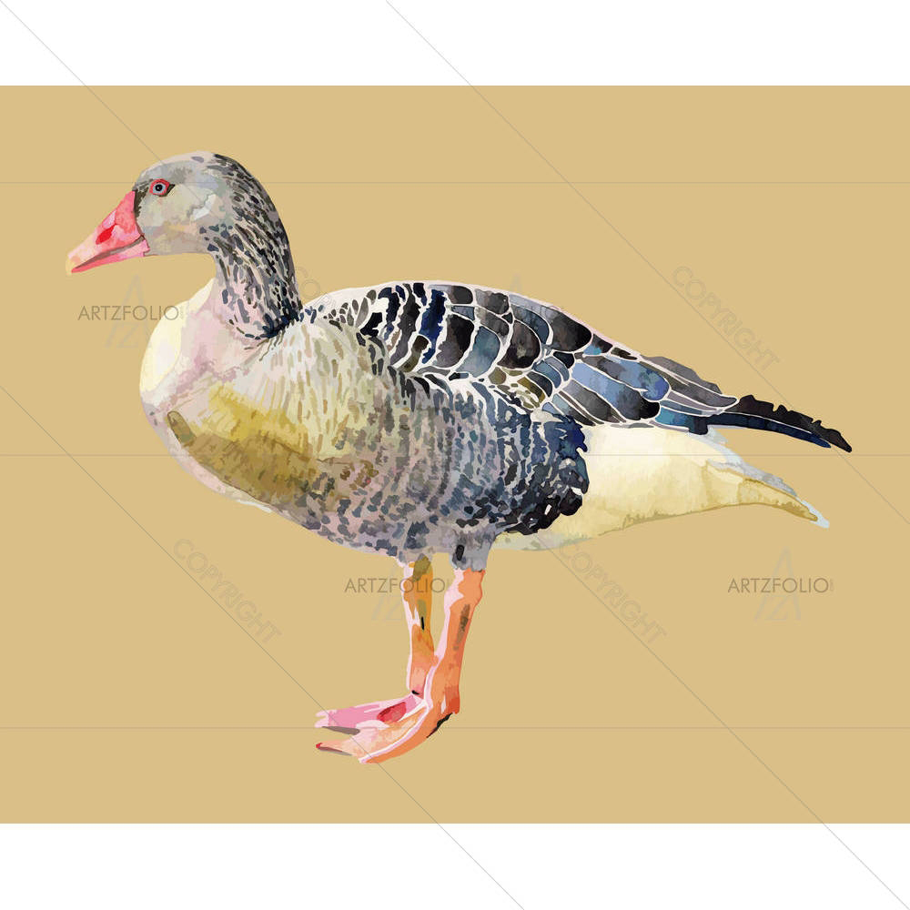 Watercolor Bird D1 — custom-size art design 5001150