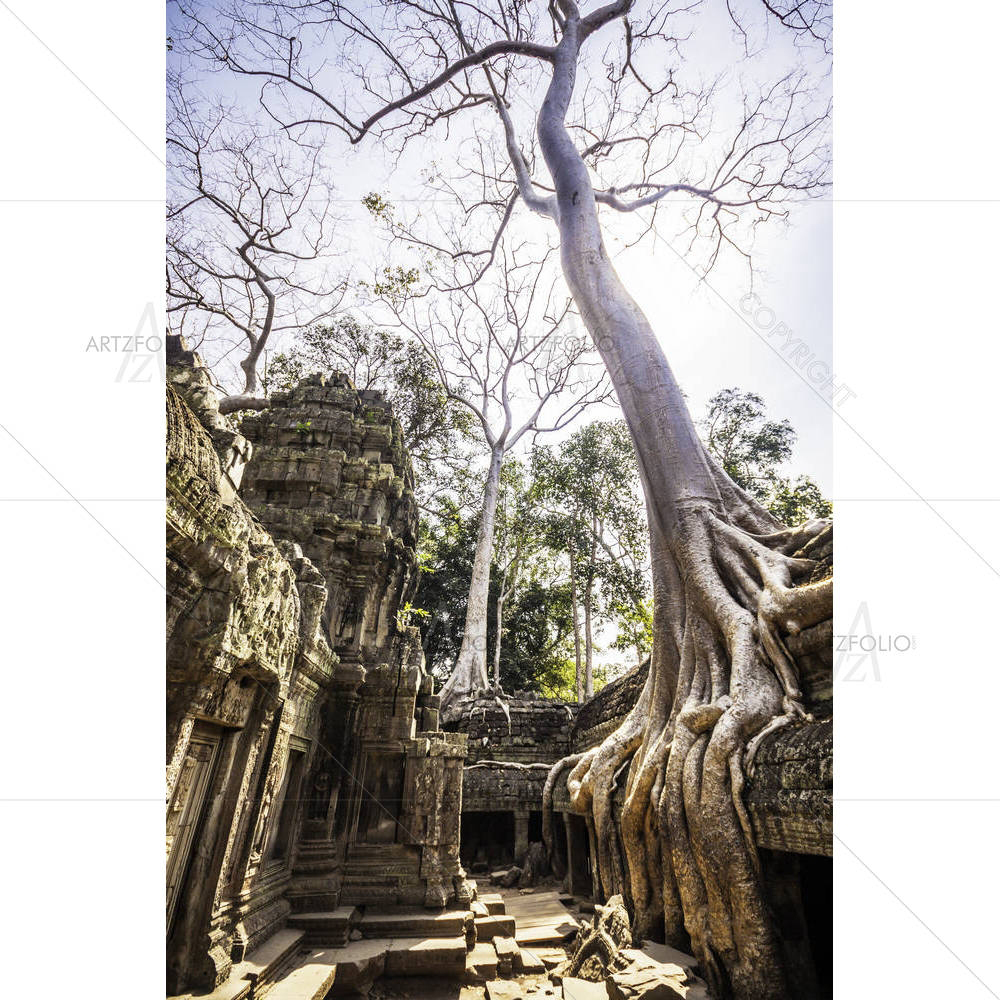 Ancient Temples Of Ta Phrom, Cambodia — Devotional custom art by ArtzFolio