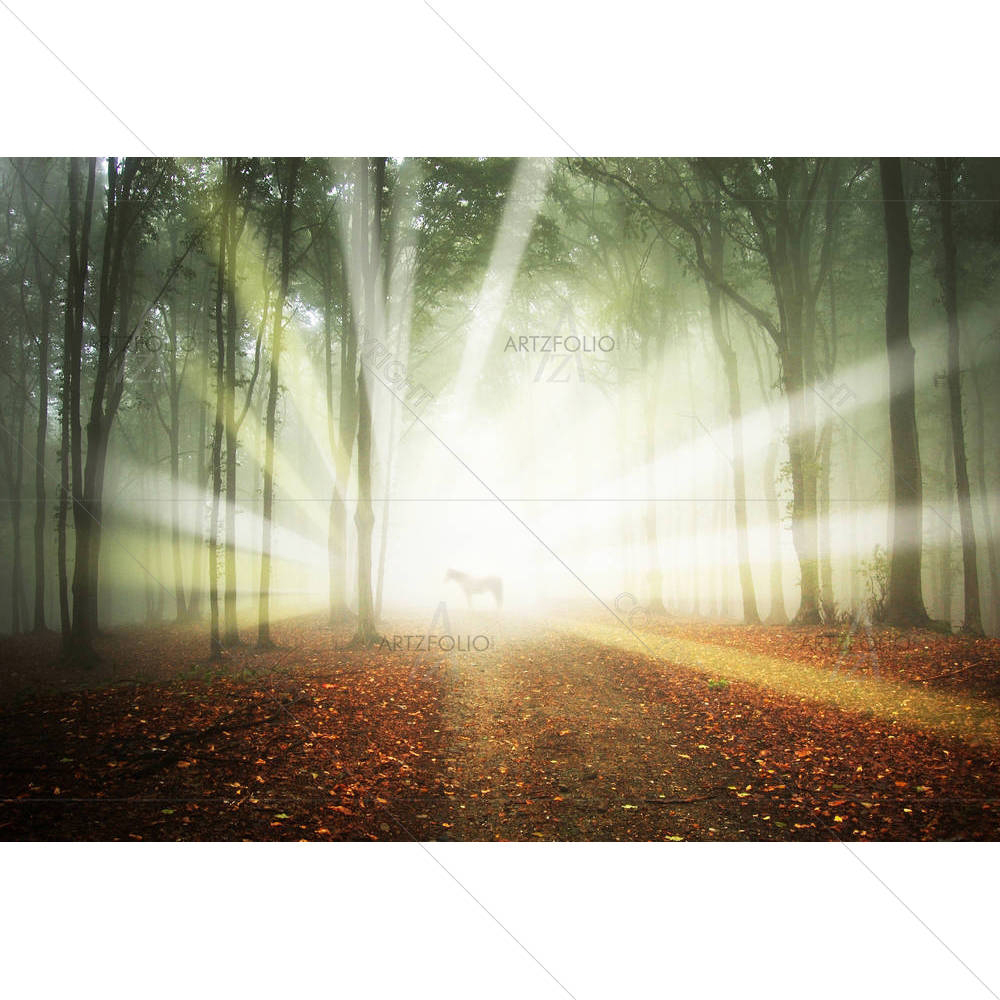 White Horse In A Magical Forest — custom-size art design 5001171