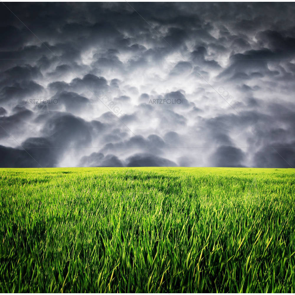 Green Grass & Storm Sky With Clouds — custom-size art design 5001206