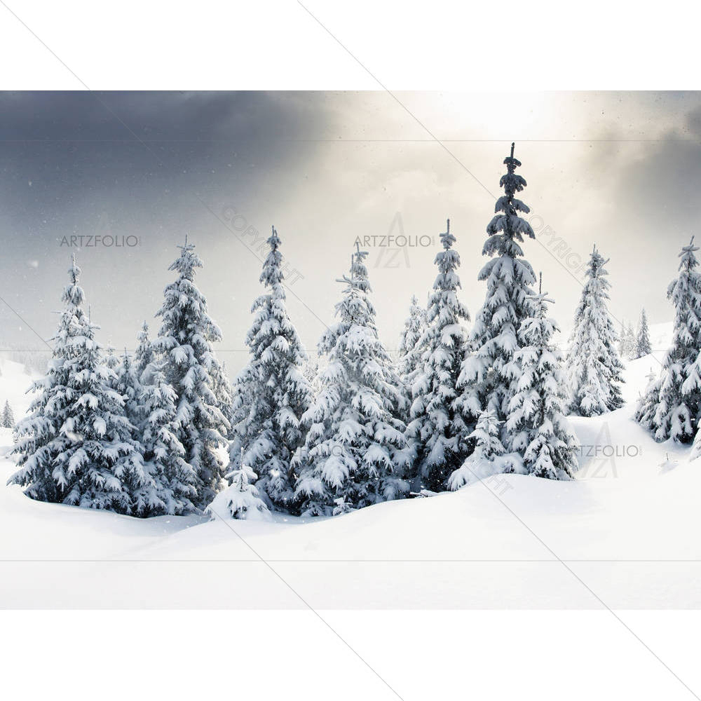 Trees Covered With Hoarfrost — custom-size art design 5001217