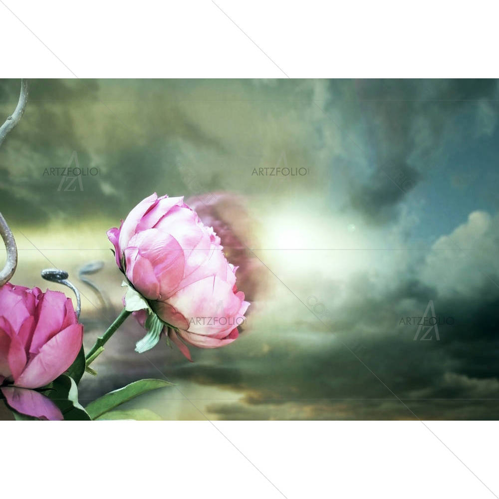 Two Pink Roses With A Cloudy Sky — Botanical custom art by ArtzFolio