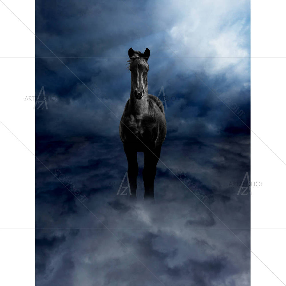 Pegasus Black Steed — custom-size art design 5001246