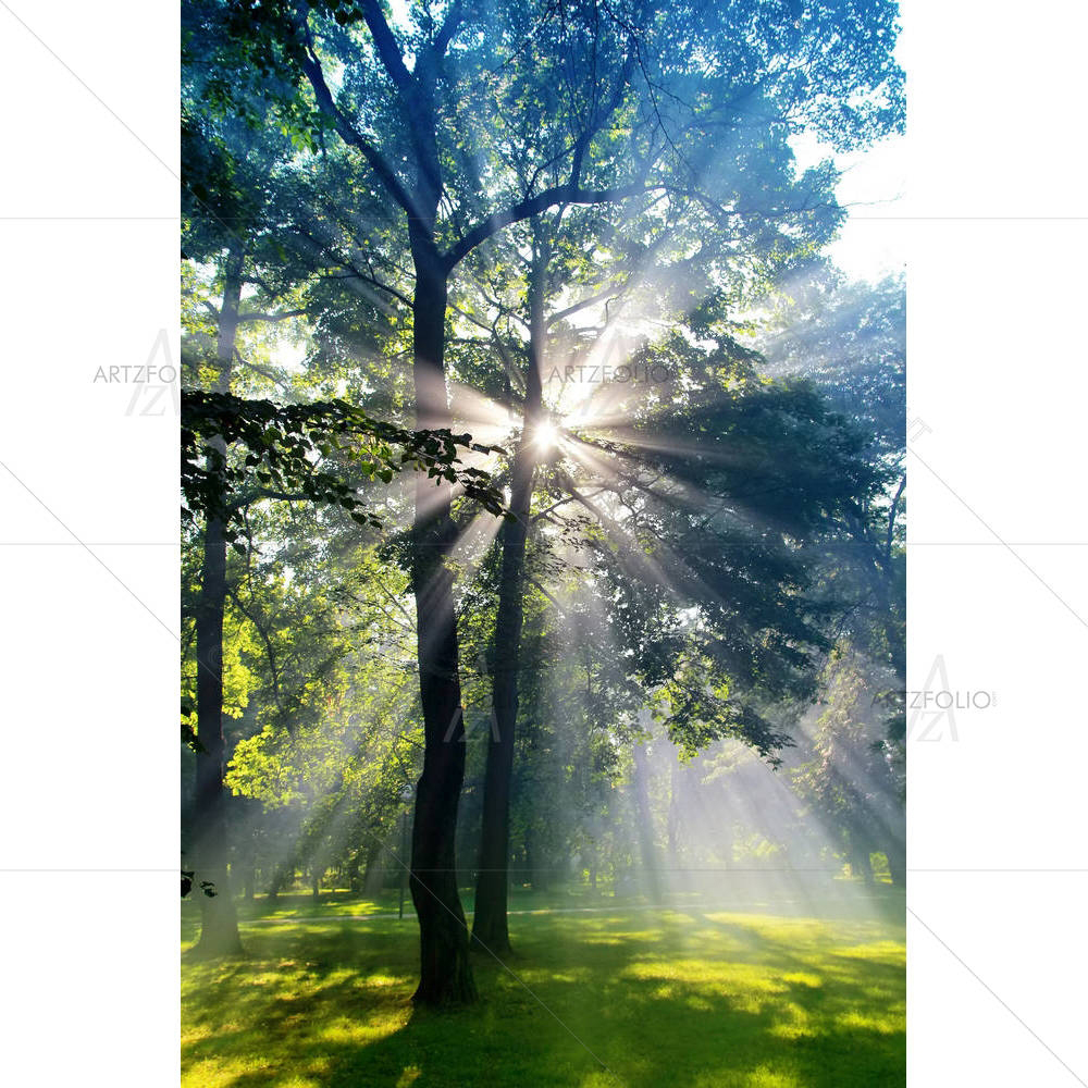 Forest Sun Lights — custom-size art design 5001248