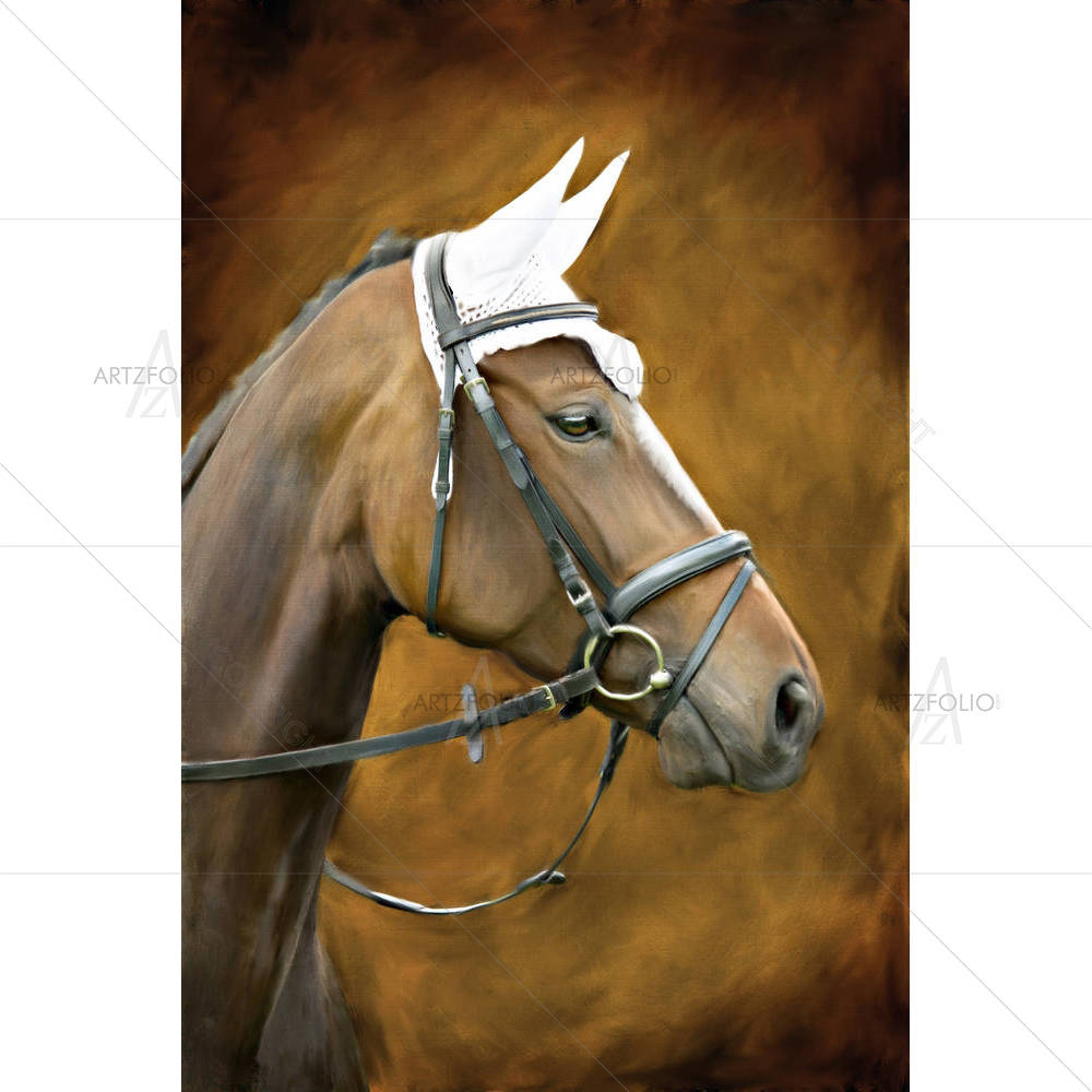 Horse D1 — custom-size art design 5001252