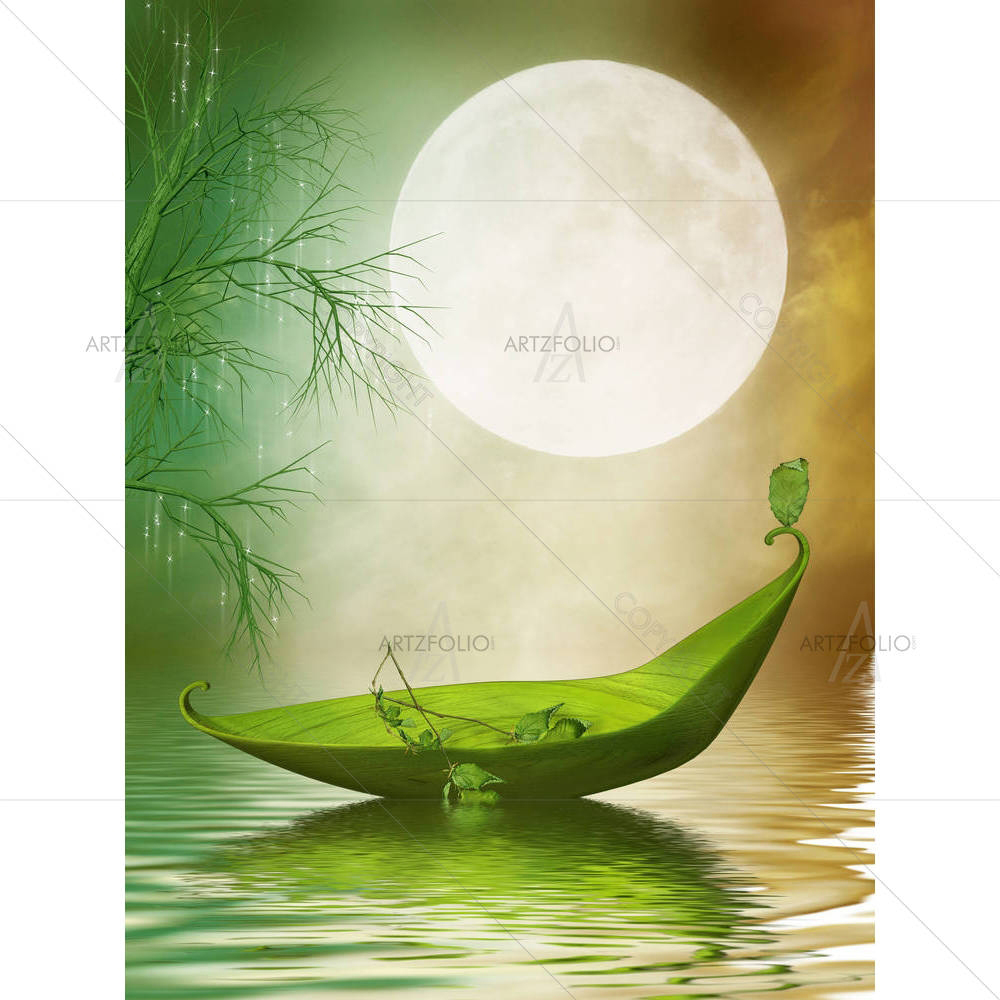 Leaf Boat In The Lake — custom-size art design 5001257