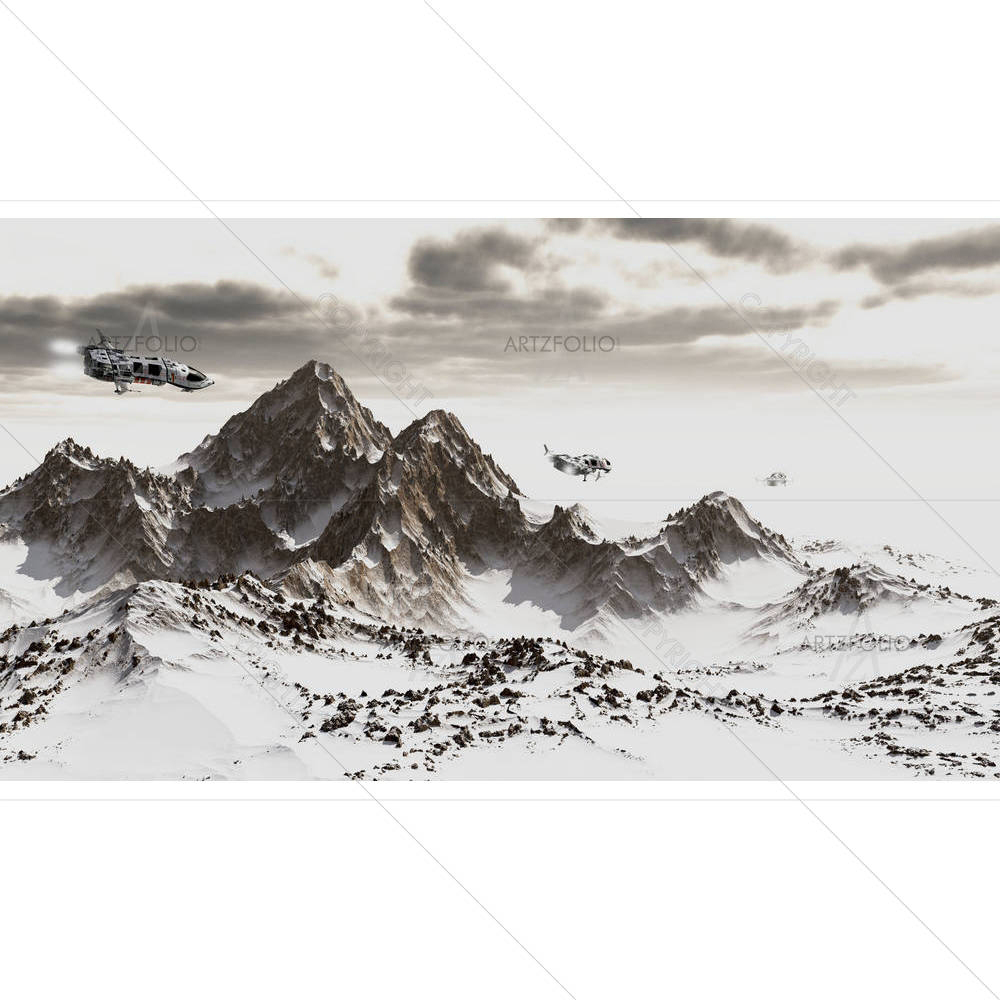 Patrol Ships Flying — custom-size art design 5001268