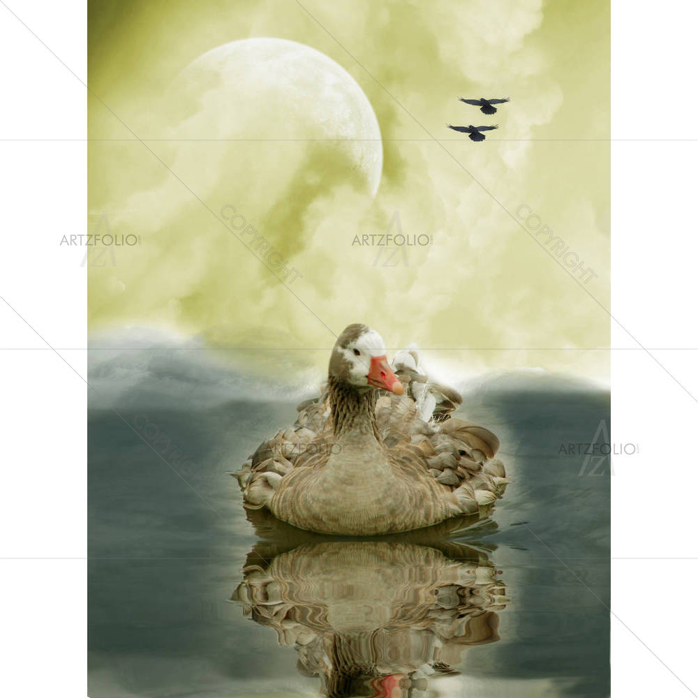 Swan In The Lake — custom-size art design 5001304