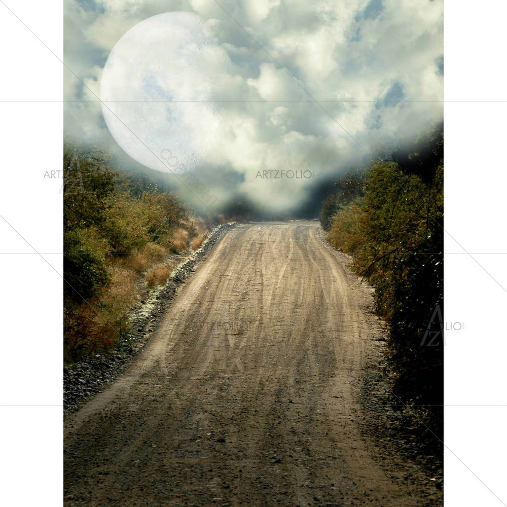 Peaceful Path With Big Moon — custom-size art design 5001317