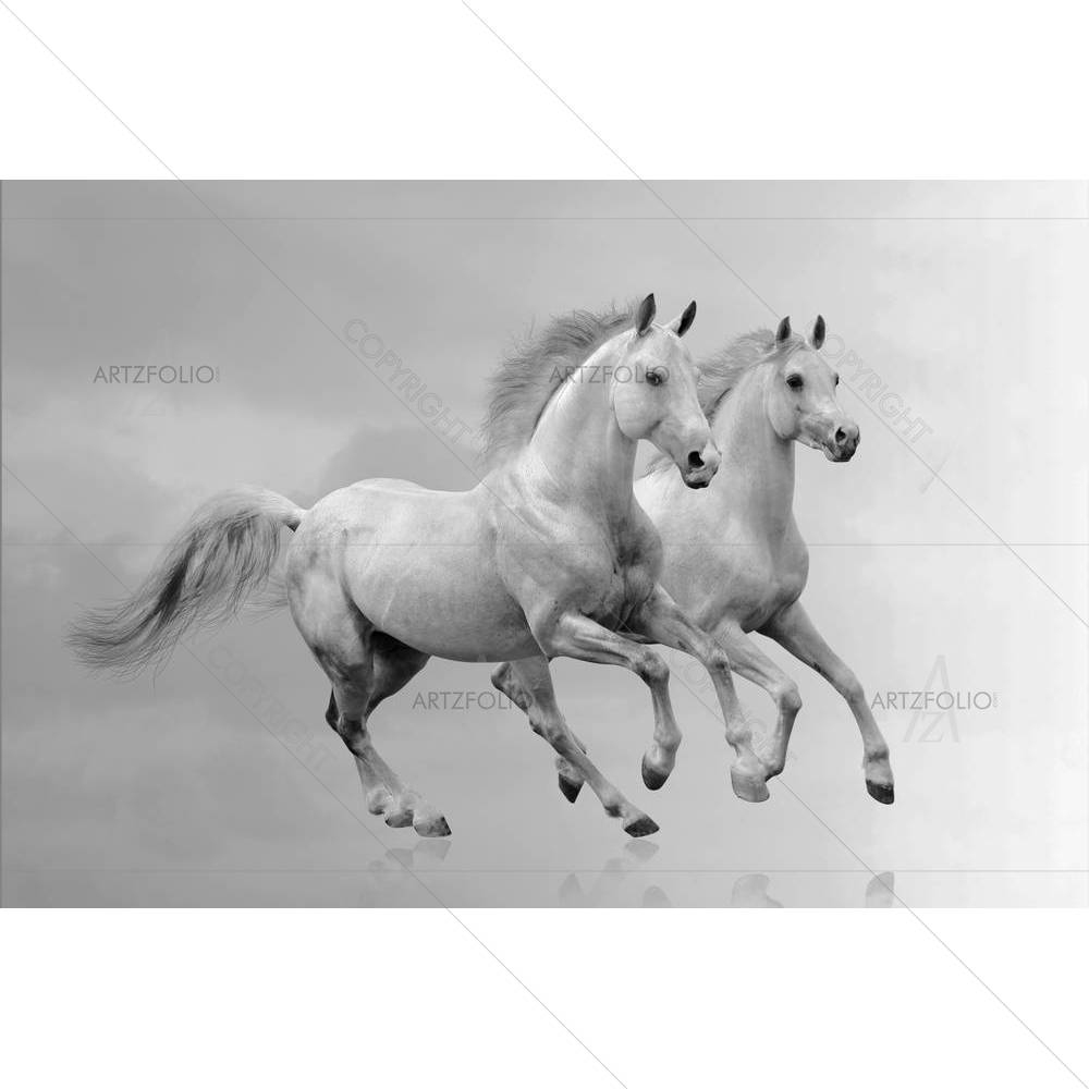 White Horses D5 — custom-size art design 5001324