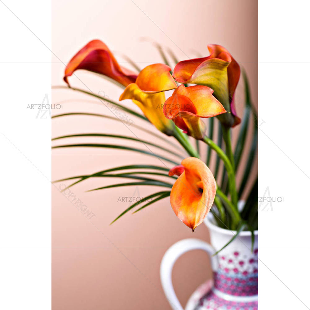 Calla Lily Flower D1 — custom-size art design 5001348