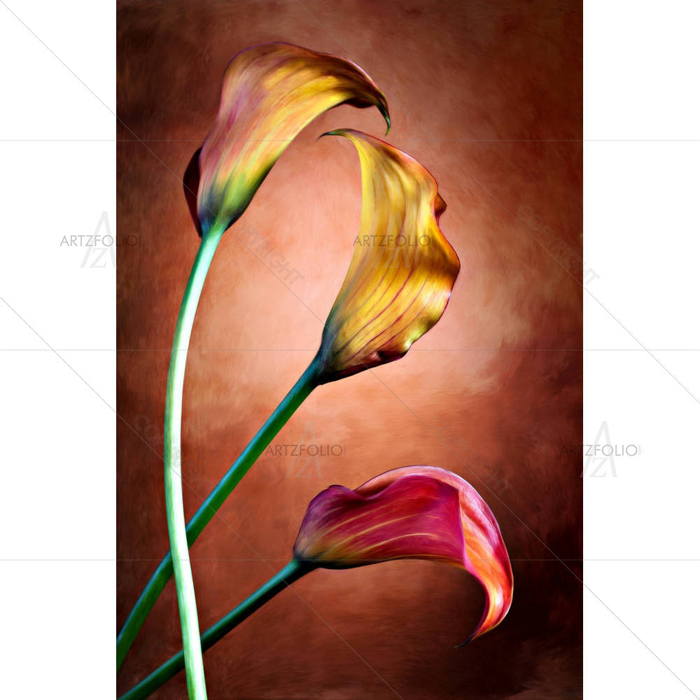 Calla Lily Flower D2 — custom-size art design 5001349