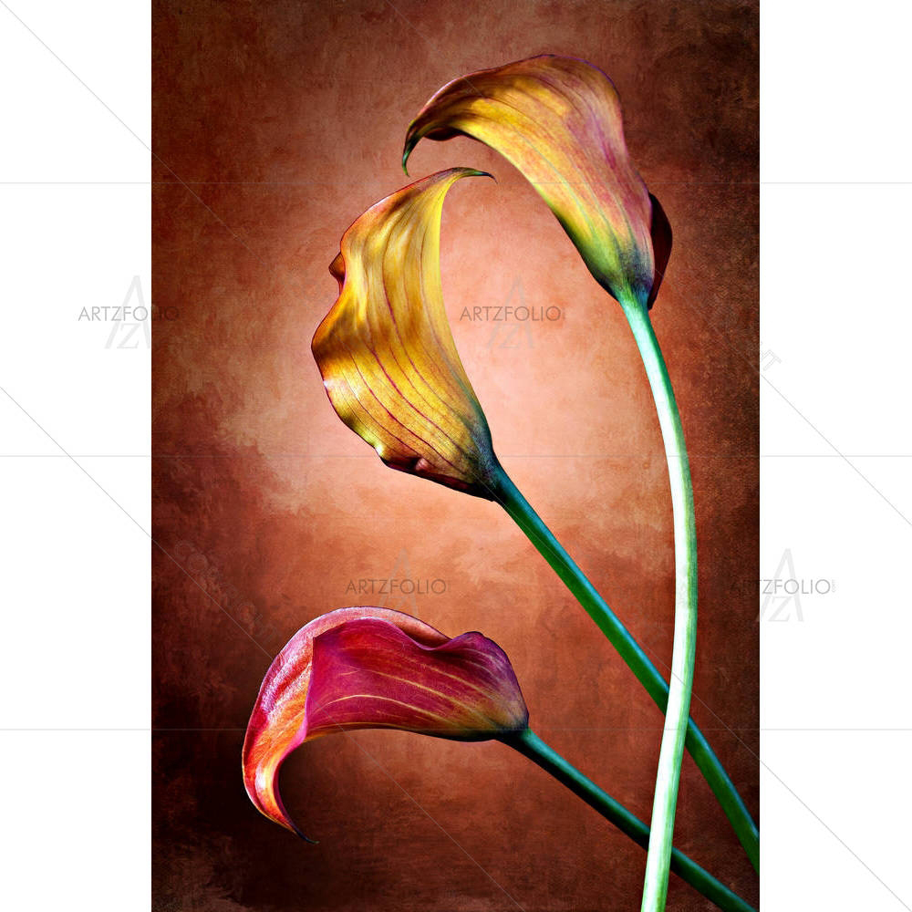 Calla Lily Flower D3 — custom-size art design 5001350
