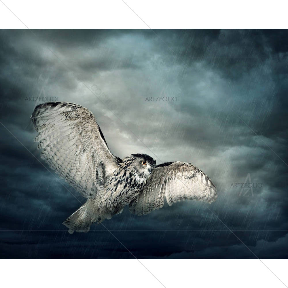 Owl Bird — Ancient custom art by ArtzFolio