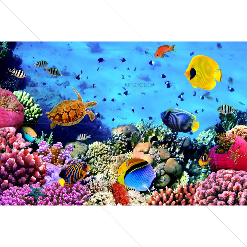 Coral Colony Red Sea Egypt — custom-size art design 5001369