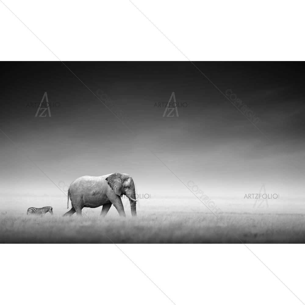 Elephant With Zebra — African custom art by ArtzFolio