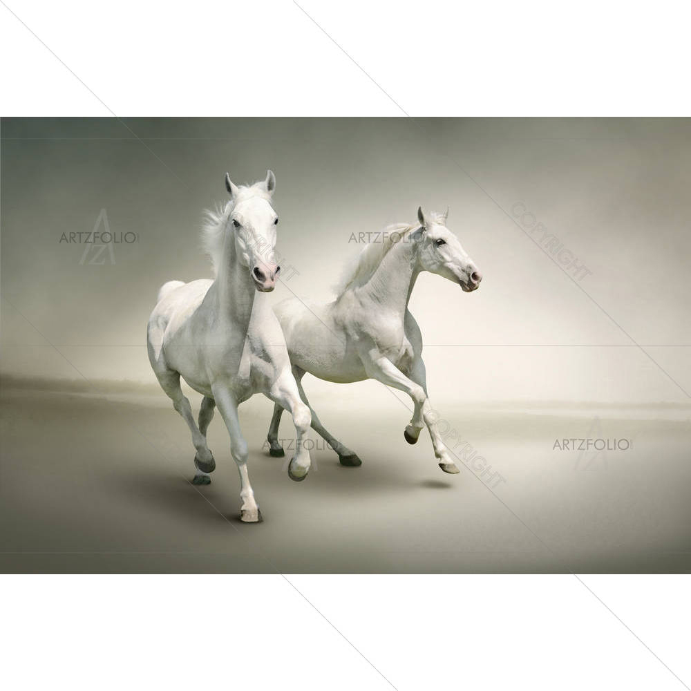 White Horses D6 — Animals custom art by ArtzFolio