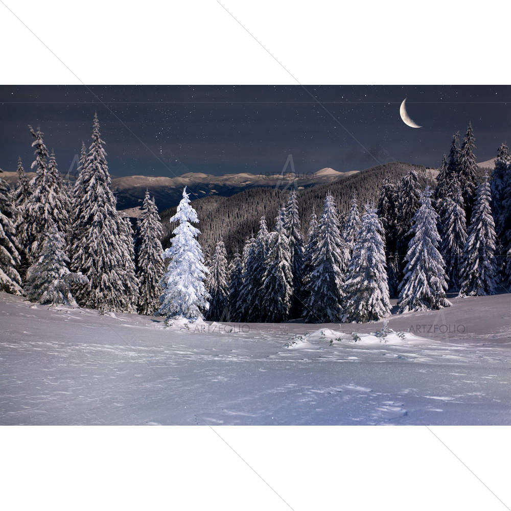 Beautiful Winter Landscape — custom-size art design 5001412