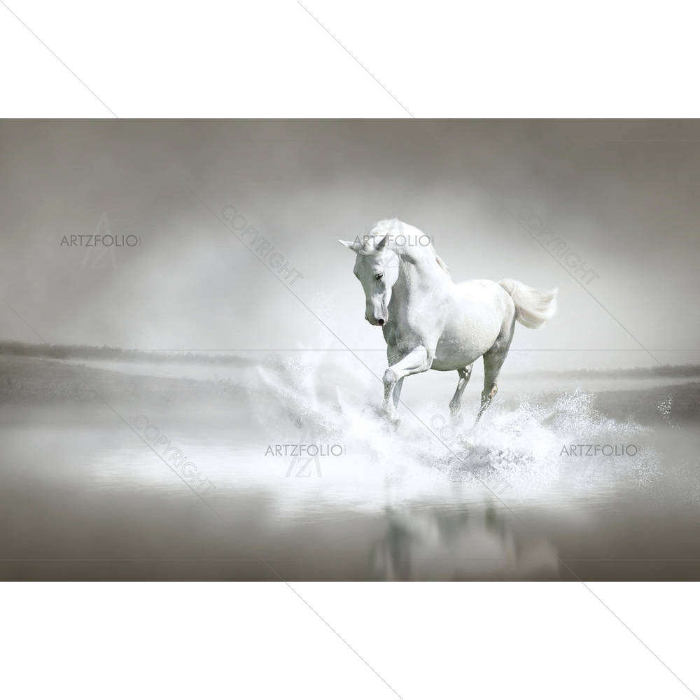 White Horse Running Through Water — Animals custom art by ArtzFolio