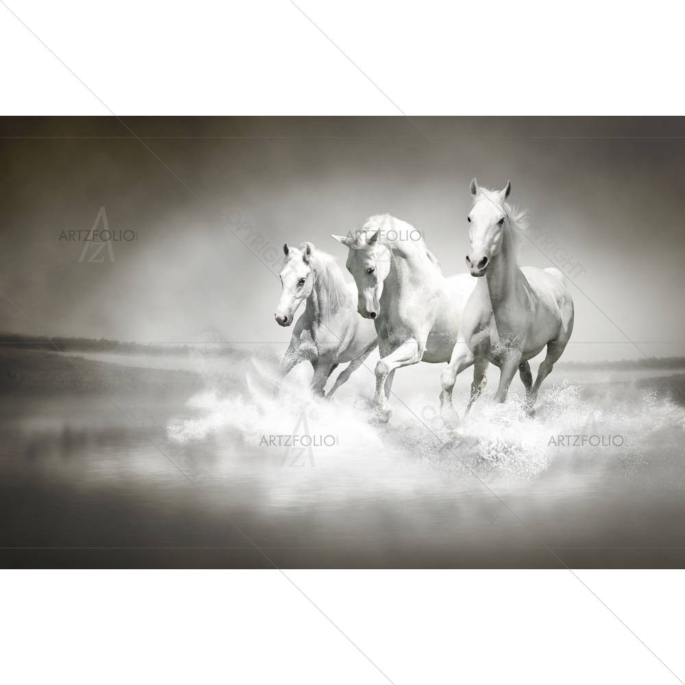 White Horses Running Through Water — custom-size art design 5001419