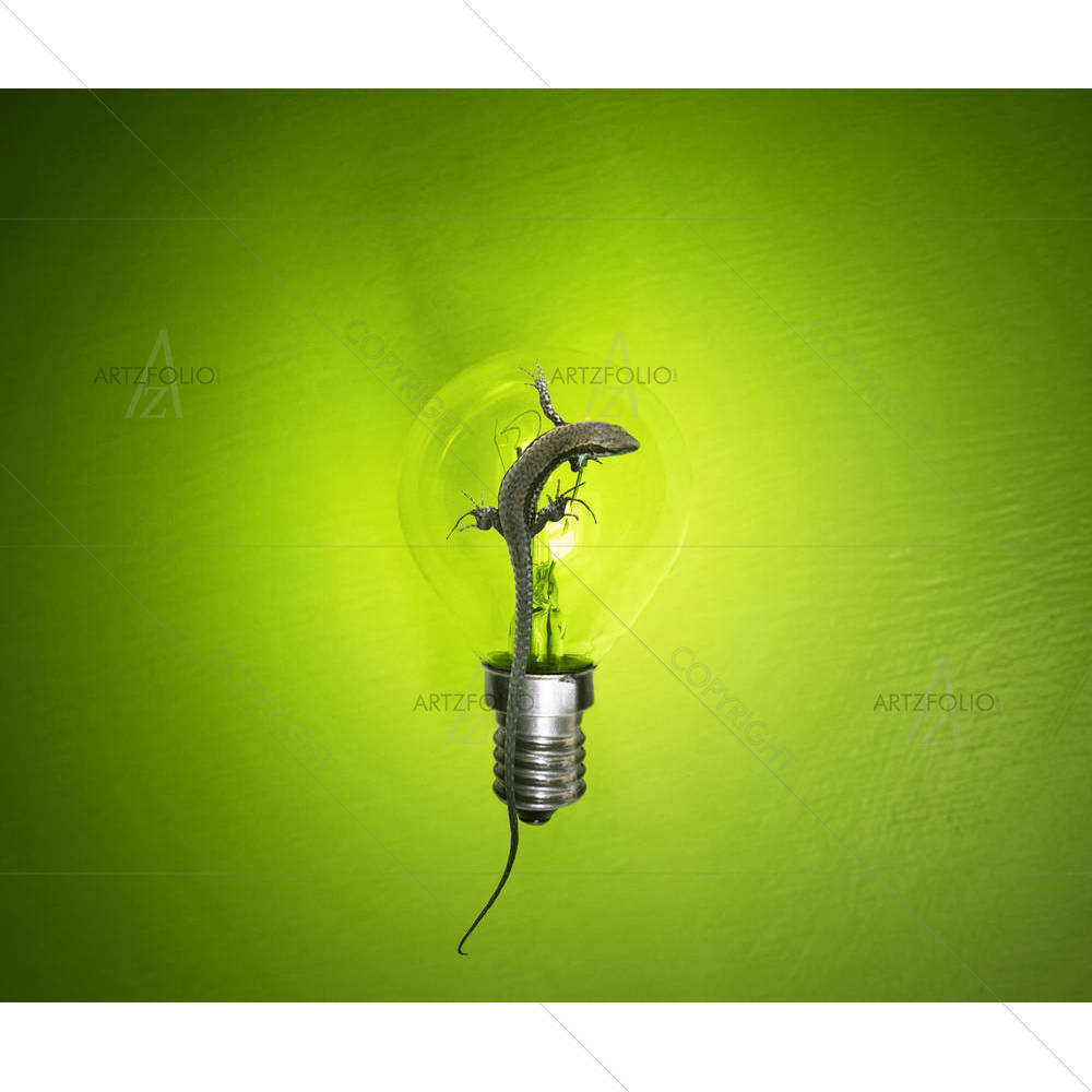 Ecologic Lamp With A Lizard — custom-size art design 5001438