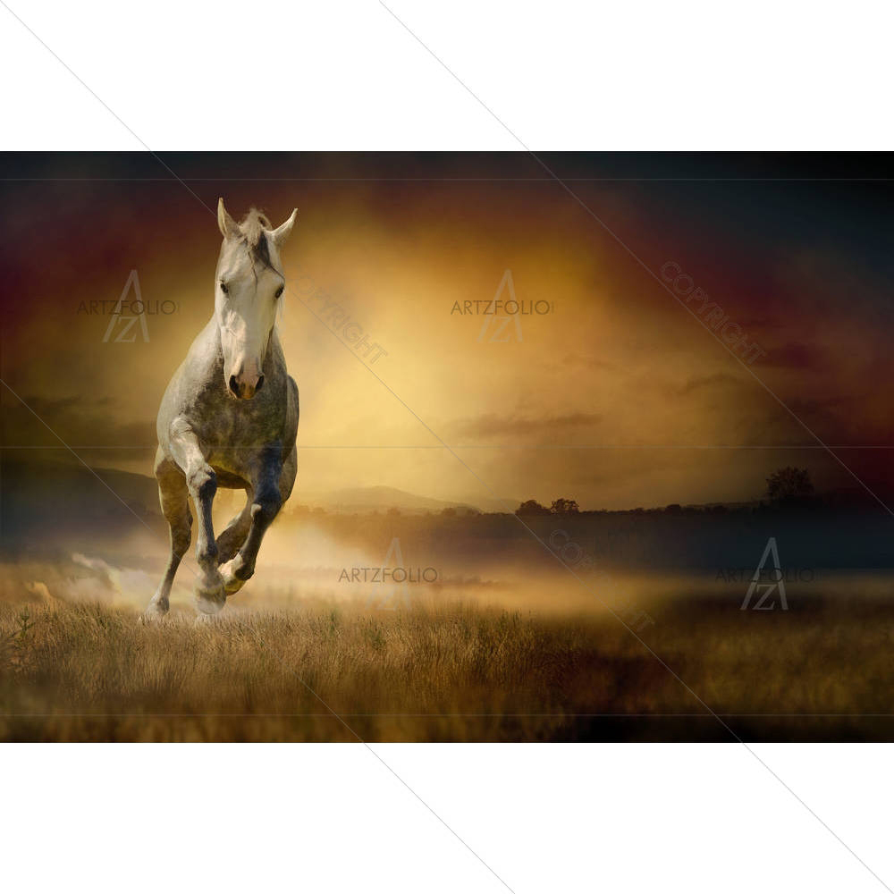 White Horse In Sunset — Animals custom art by ArtzFolio