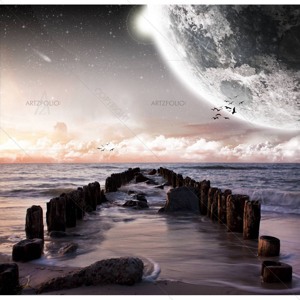 Planet Landscape View From A Beautiful Beach D1 — custom-size art design 5001444
