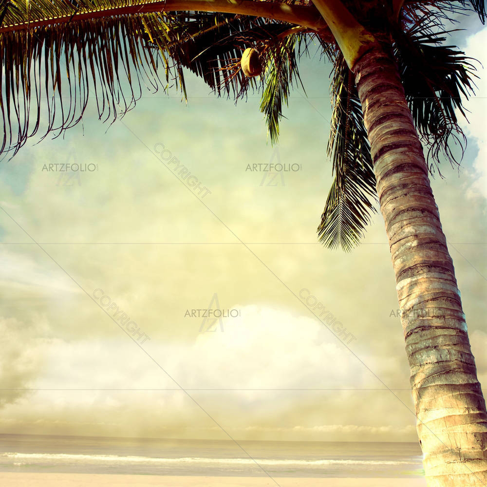 Vintage Palm — custom-size art design 5001486