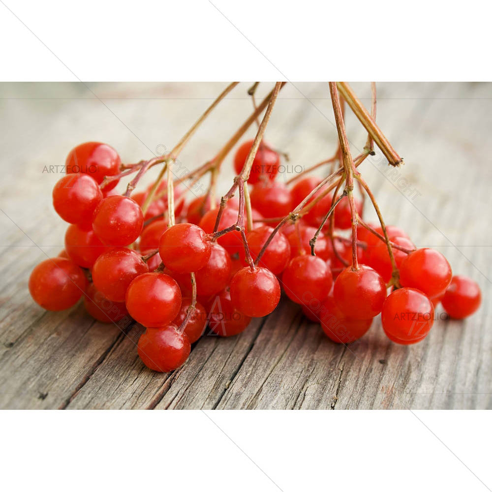 Photo of Red Berries — custom-size art design 5001544