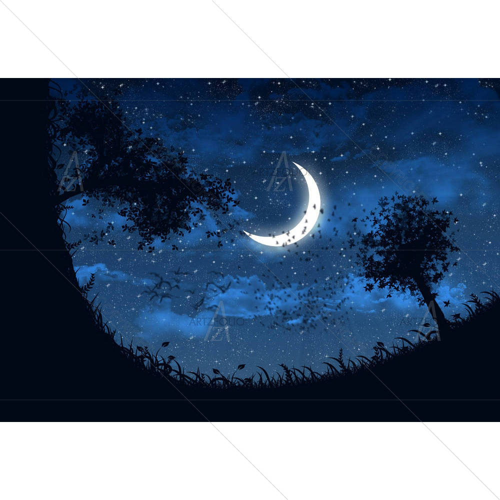 Sky With Stars & Moon — Birds custom art by ArtzFolio