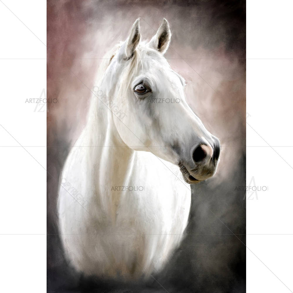 Portrait Of A White Horse D1 — custom-size art design 5001569