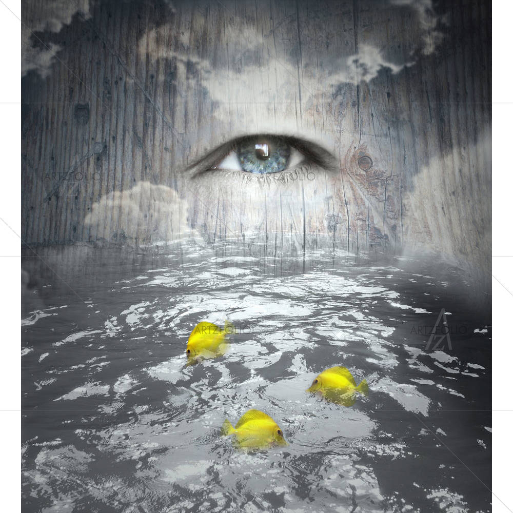 Human Eye In The Sky — custom-size art design 5001576