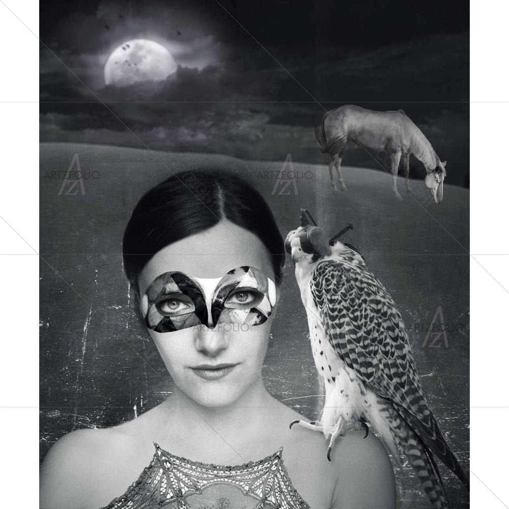 Young Woman In Mask With A Hawk — custom-size art design 5001577