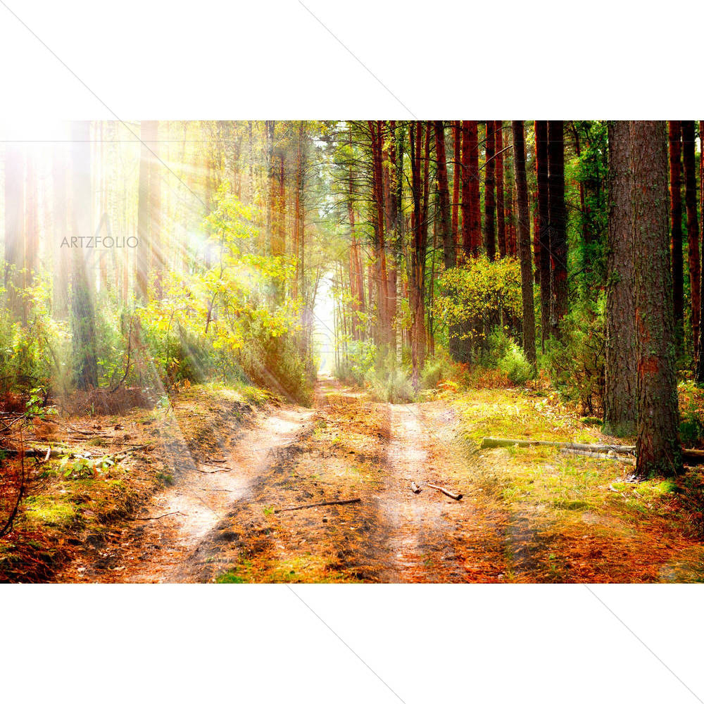 Autumn Forest D1 — Landscapes custom art by ArtzFolio